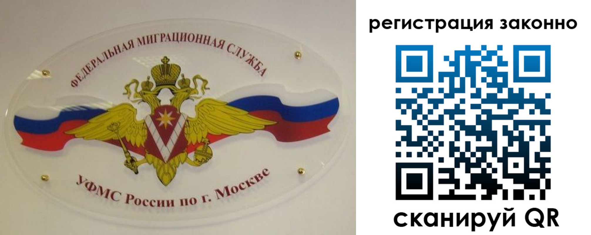 прописка для школы в Курганской области